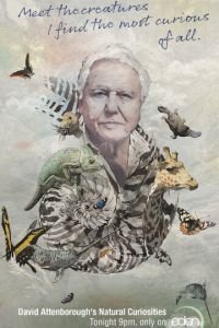 Дэвид Аттенборо. Курьезы природного мира (2013)