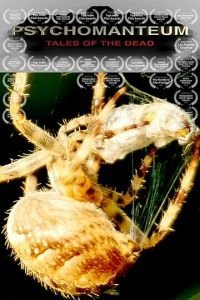   Психомантиум (2018)